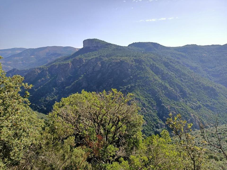 Sa Stiddiosa Guesthouse Gadoni Exteriör bild
