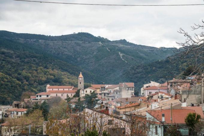 Sa Stiddiosa Guesthouse Gadoni Exteriör bild